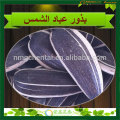 2019 Mongólia Interior China Black Sunflower Seeds 5009 24/68